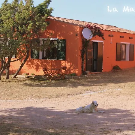 La Macciona Альенту