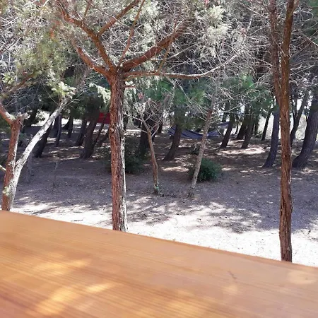 La Macciona