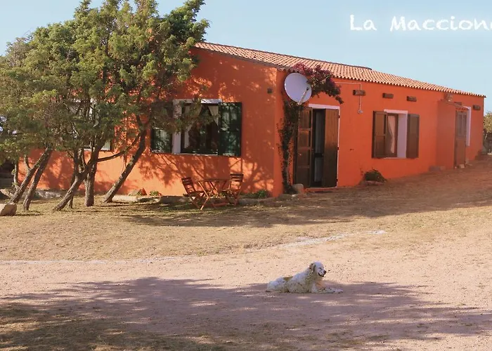 La Macciona אגליאנטו